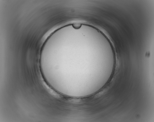 X0000110741245200907060959