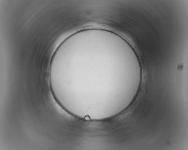 X0000110741247200907060959