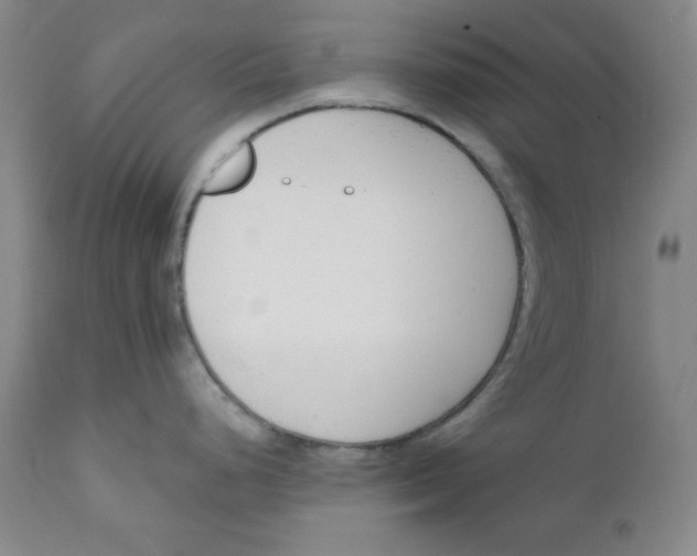 X0000110741248200907060959