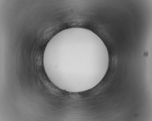 X0000110741250200907060959