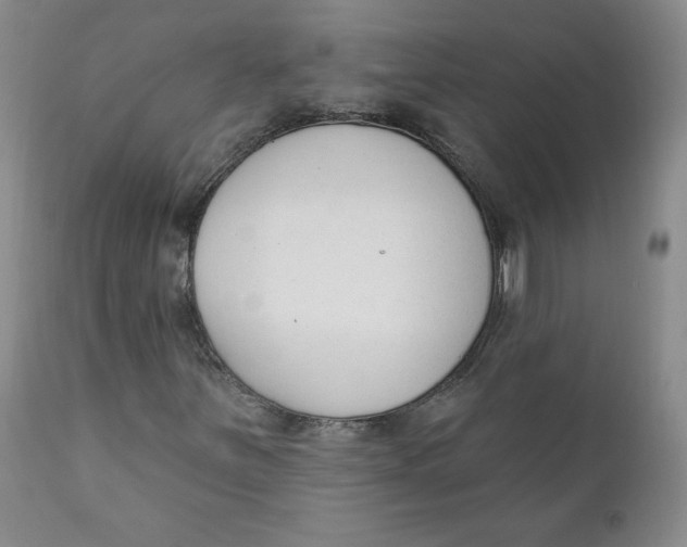 X0000110741251200907060959