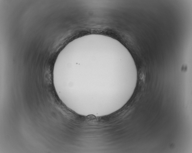 X0000110741252200907060959