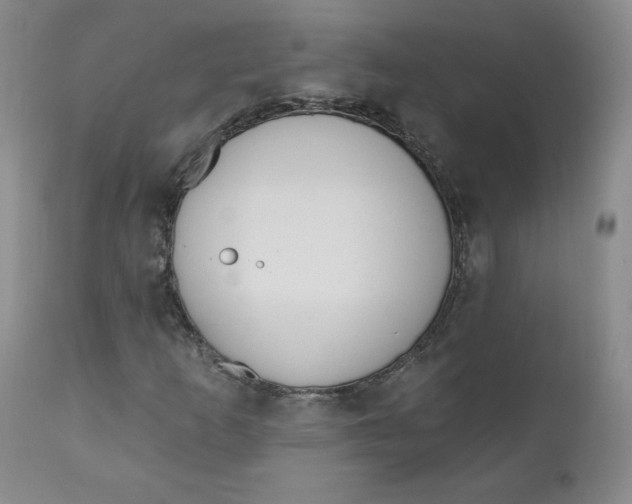 X0000110741253200907060959