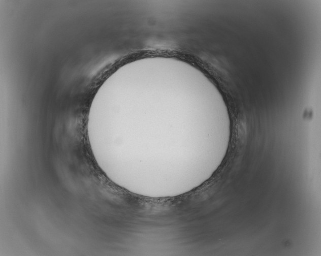 X0000110741254200907060959