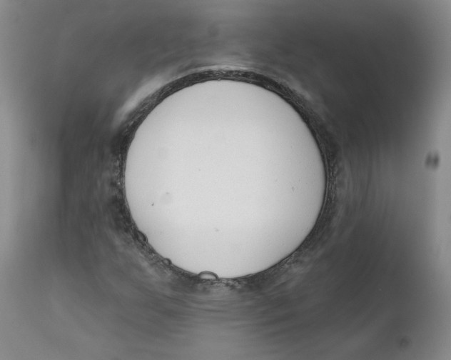 X0000110741255200907060959