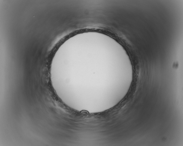 X0000110741256200907060958