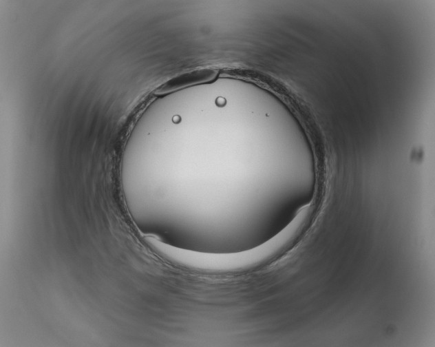 X0000110741257200907060958