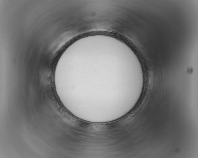 X0000110741258200907060958