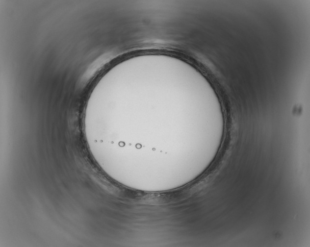 X0000110741259200907060958