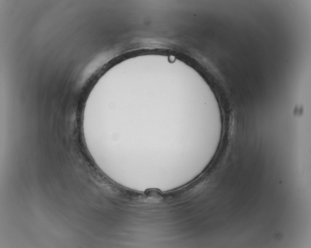 X0000110741261200907060958