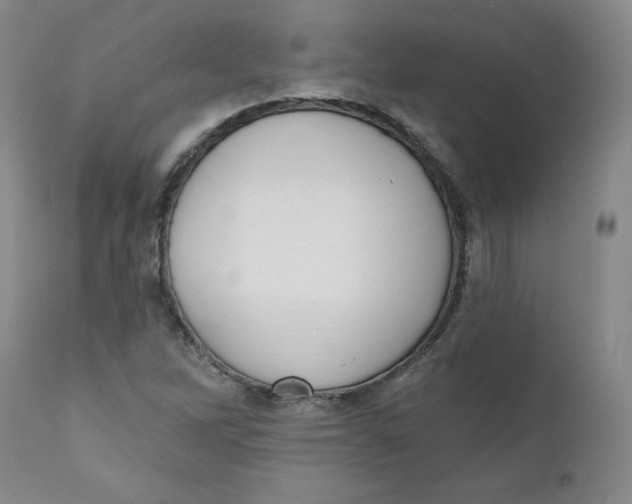 X0000110741262200907060958