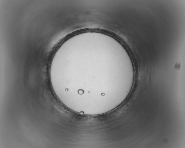 X0000110741263200907060958