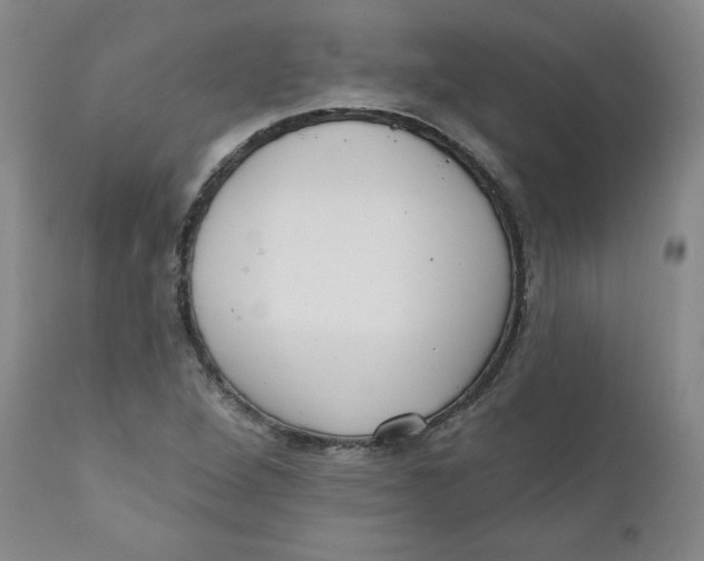 X0000110741264200907060958