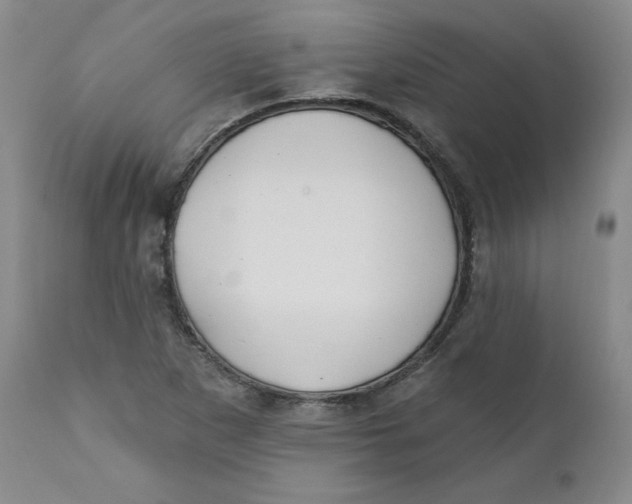 X0000110741265200907060958