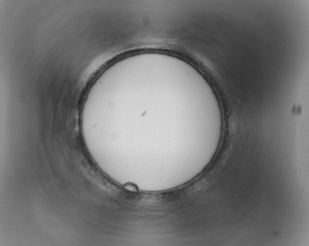 X0000110741267200907060958