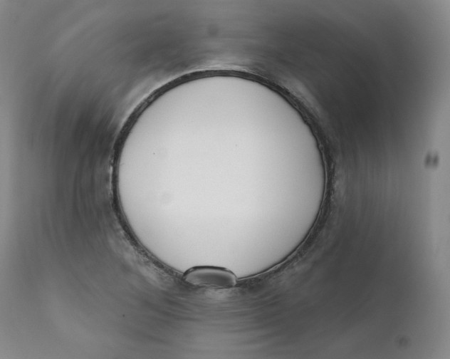 X0000110741268200907060958