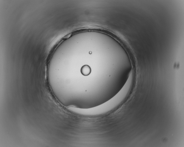 X0000110741269200907060958