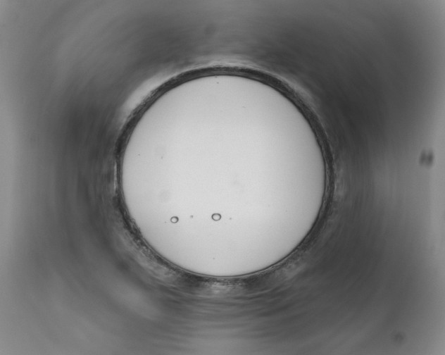 X0000110741271200907060958