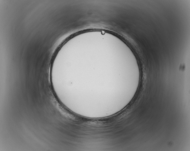 X0000110741272200907060958