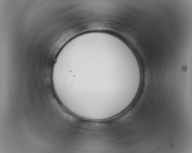 X0000110741273200907060958