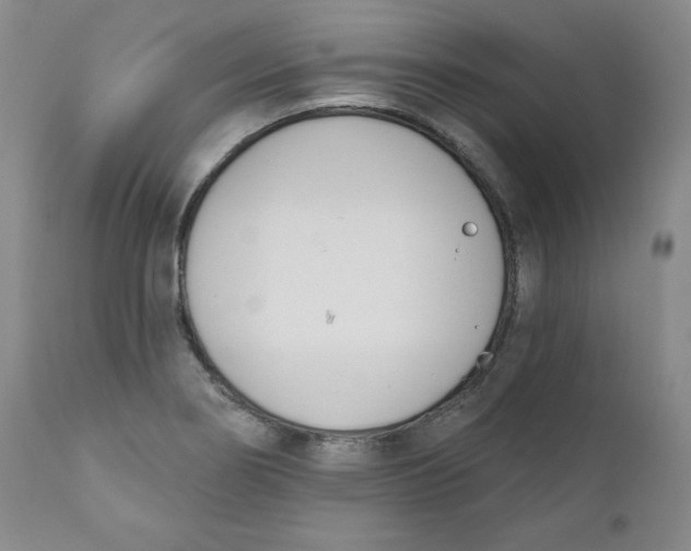 X0000110741274200907060958