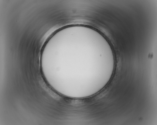 X0000110741275200907060958