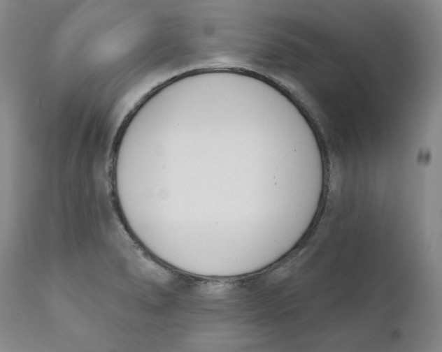 X0000110741278200907060958