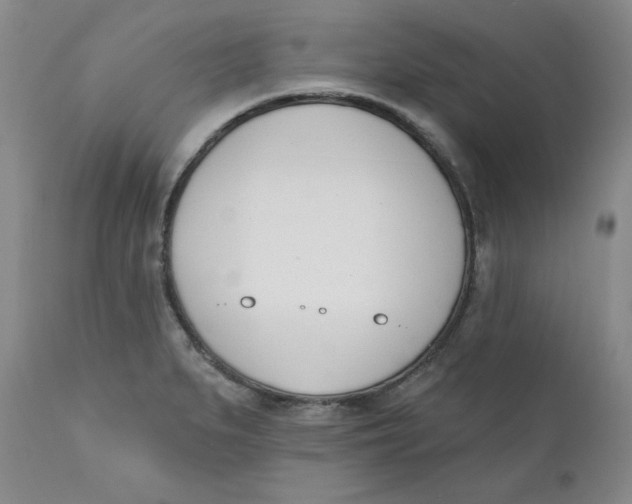 X0000110741279200907060958