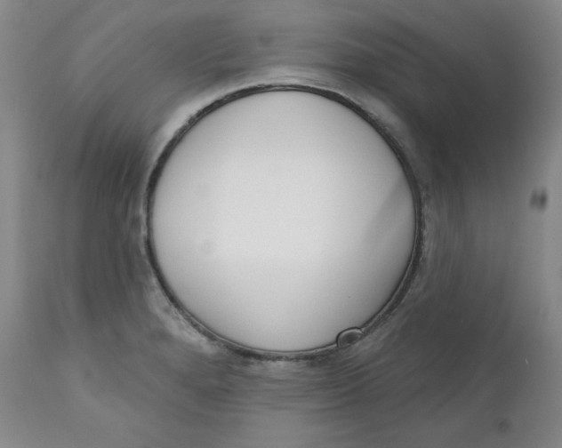 X0000110741280200907060958