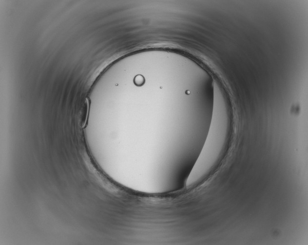 X0000110741281200907060958