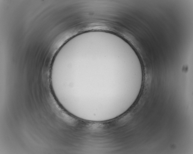 X0000110741282200907060958