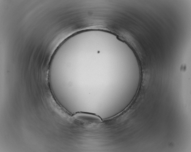 X0000110741284200907060958