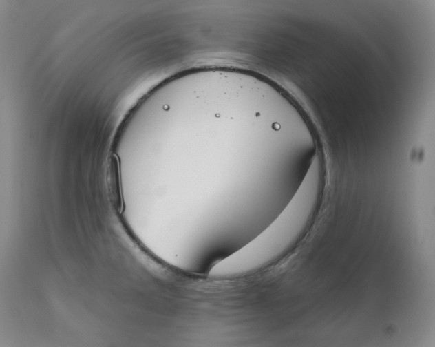 X0000110741285200907060958