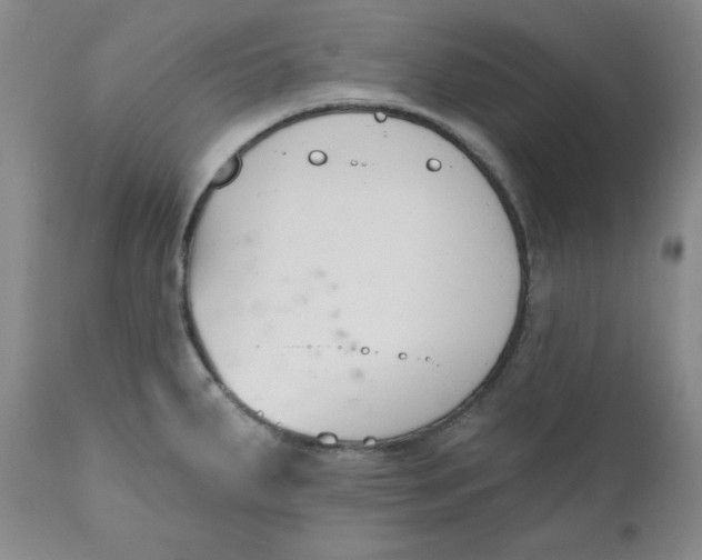 X0000110741287200907060958