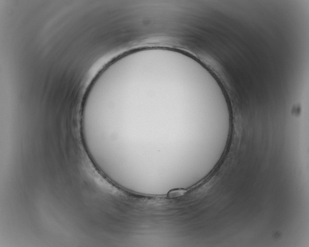 X0000110741288200907060958