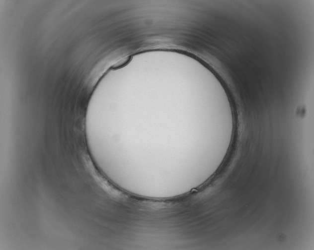 X0000110741289200907060958