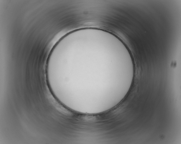 X0000110741291200907060958