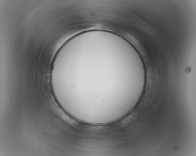 X0000110741292200907060958