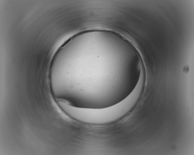 X0000110741293200907060958