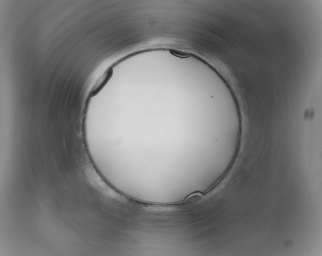 X0000110741296200907060958