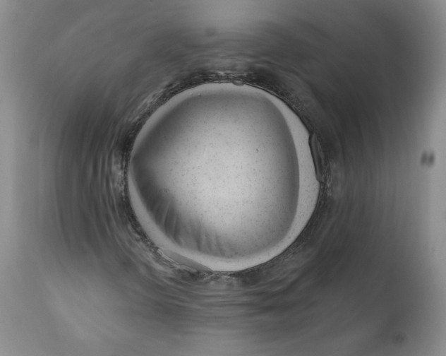 X0000110741298200907060957