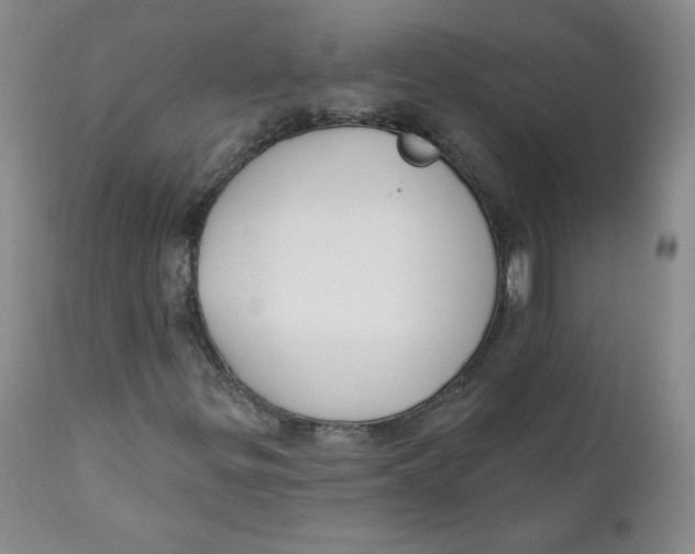 X0000110741299200907060957