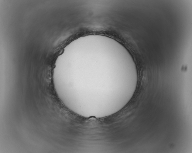 X0000110741301200907060957