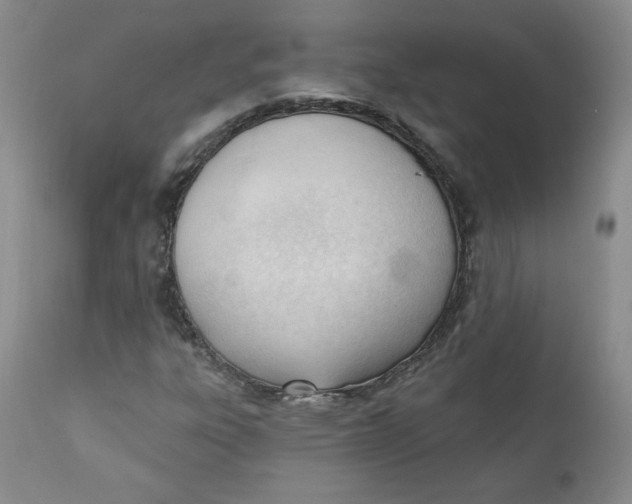 X0000110741303200907060957