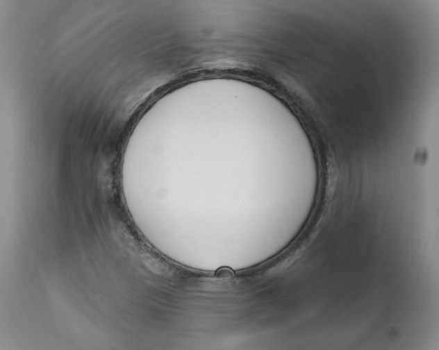 X0000110741305200907060957