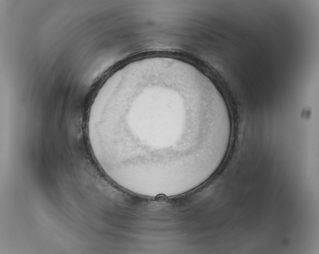 X0000110741306200907060957