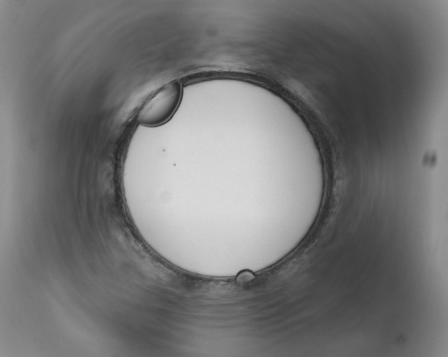 X0000110741307200907060957