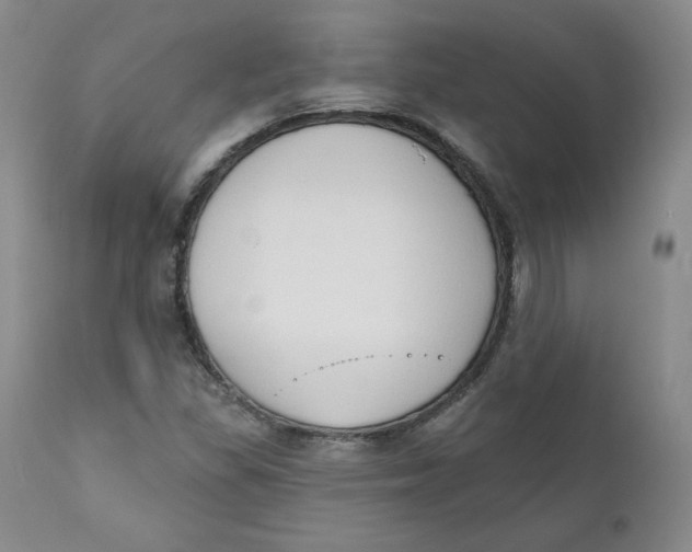 X0000110741309200907060957