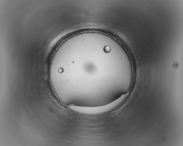 X0000110741310200907060957