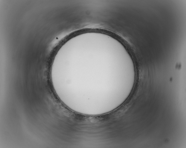 X0000110741311200907060957